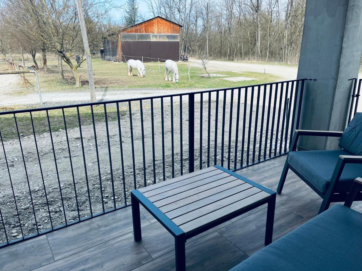 Apartment Country House Zaton Tisina Экстерьер фото