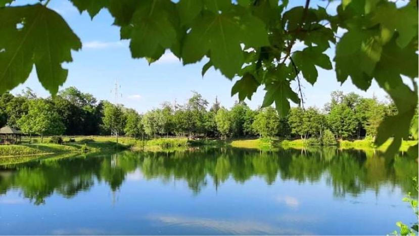 Apartment Country House Zaton Tisina Экстерьер фото